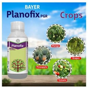 প্লানোফিক্স ১০০ মিলি planofix