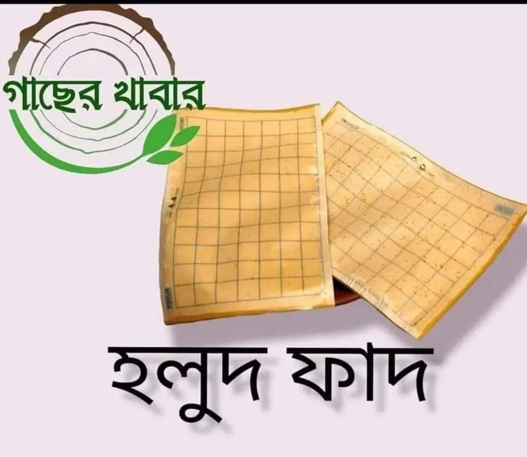 হলুদ ফাদ/কার্ড সকল প্রকার মাছি পোকা দমনে ১ পিছ