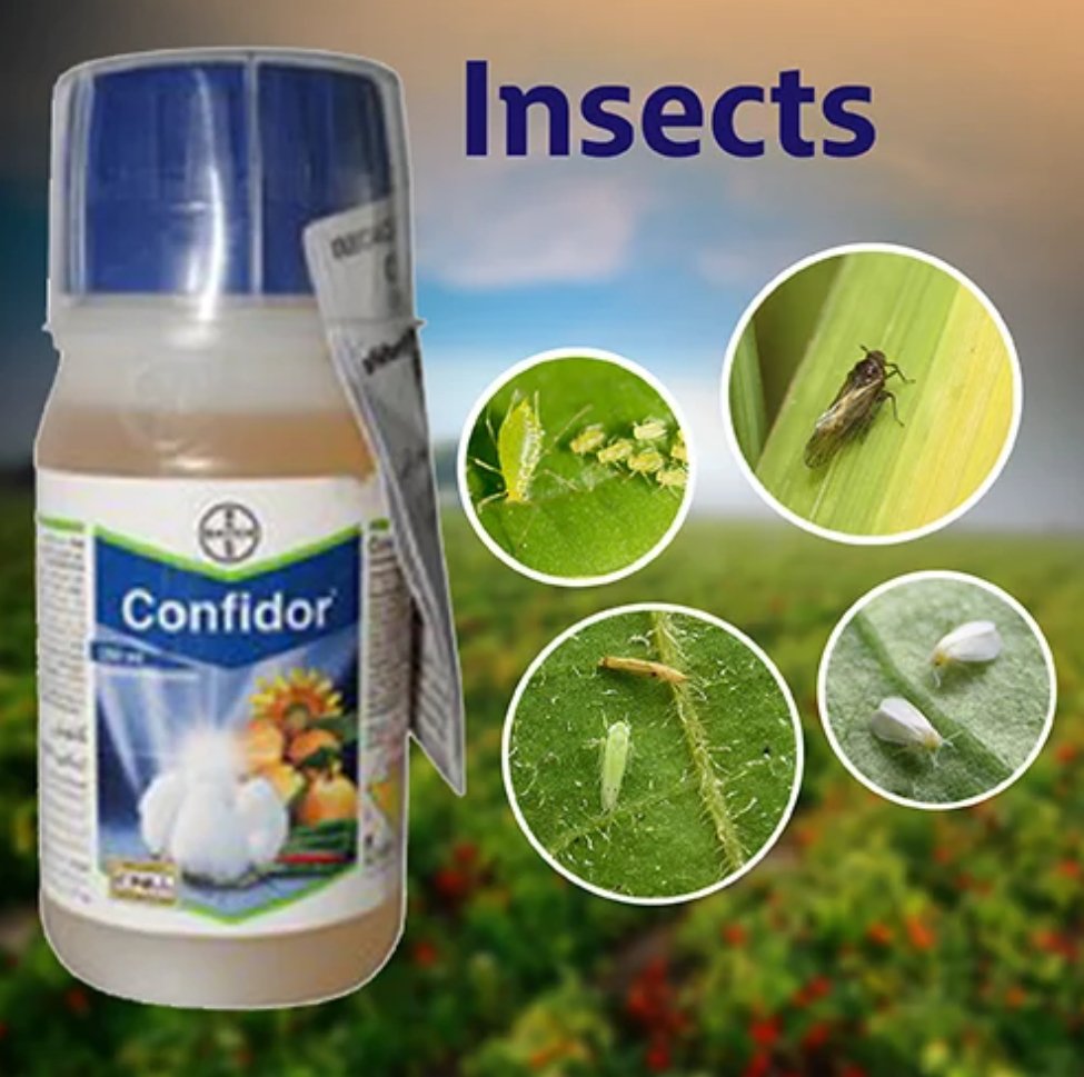 কনফিডর ১০০ মিলি ইমিডাক্লোপিড - Image 3