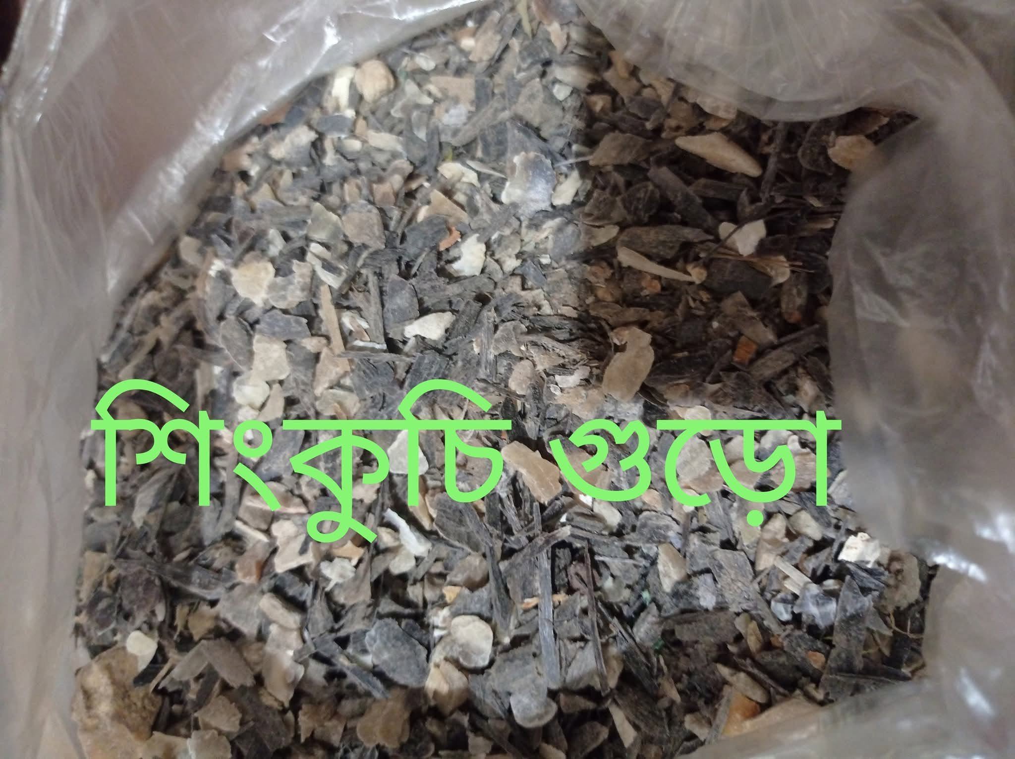 শিং কুচি ৫ কেজি - Image 2