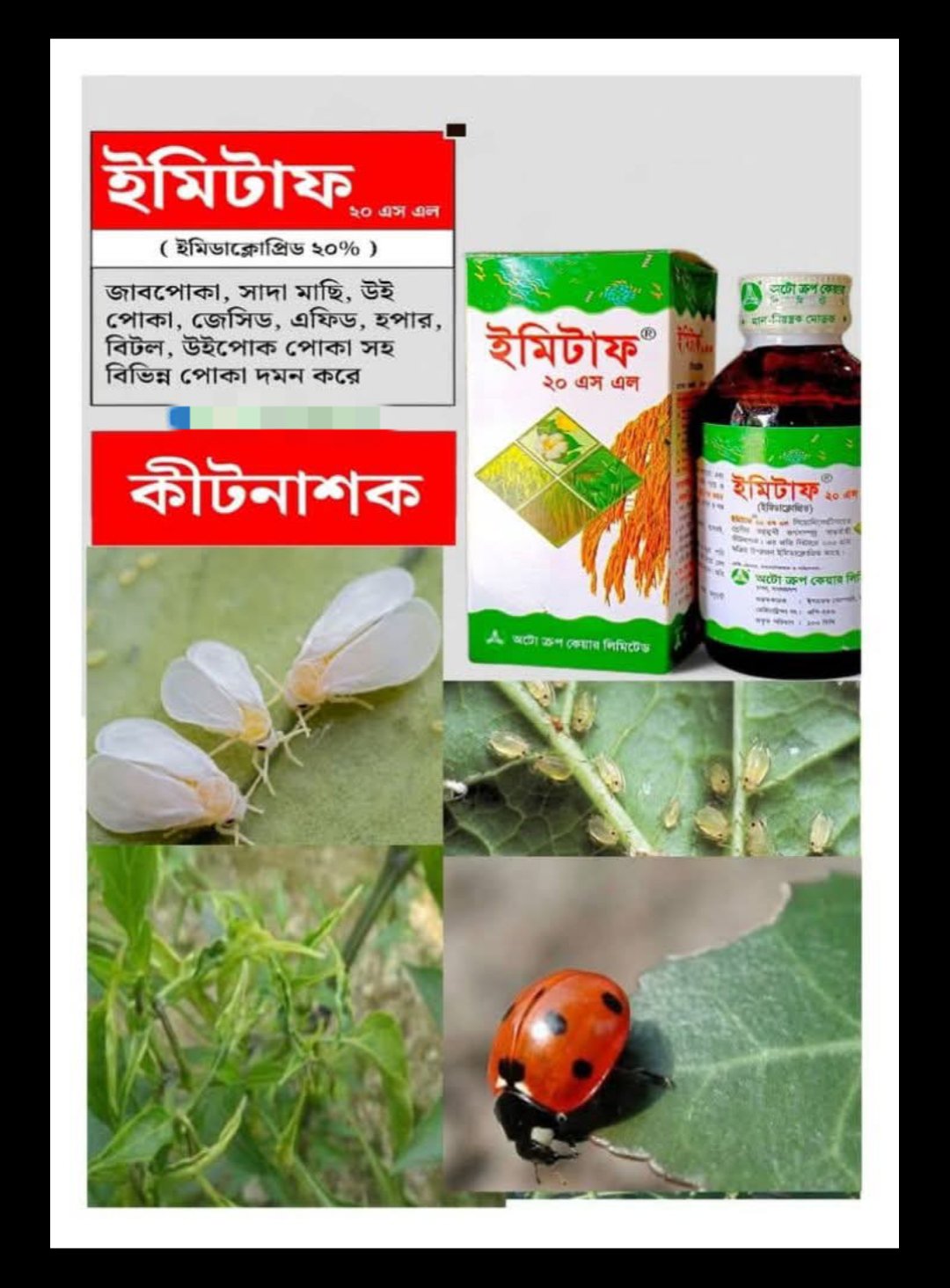 ইমিটাফ ১০০ মিলি ইমিডাক্লোপিড - Image 4
