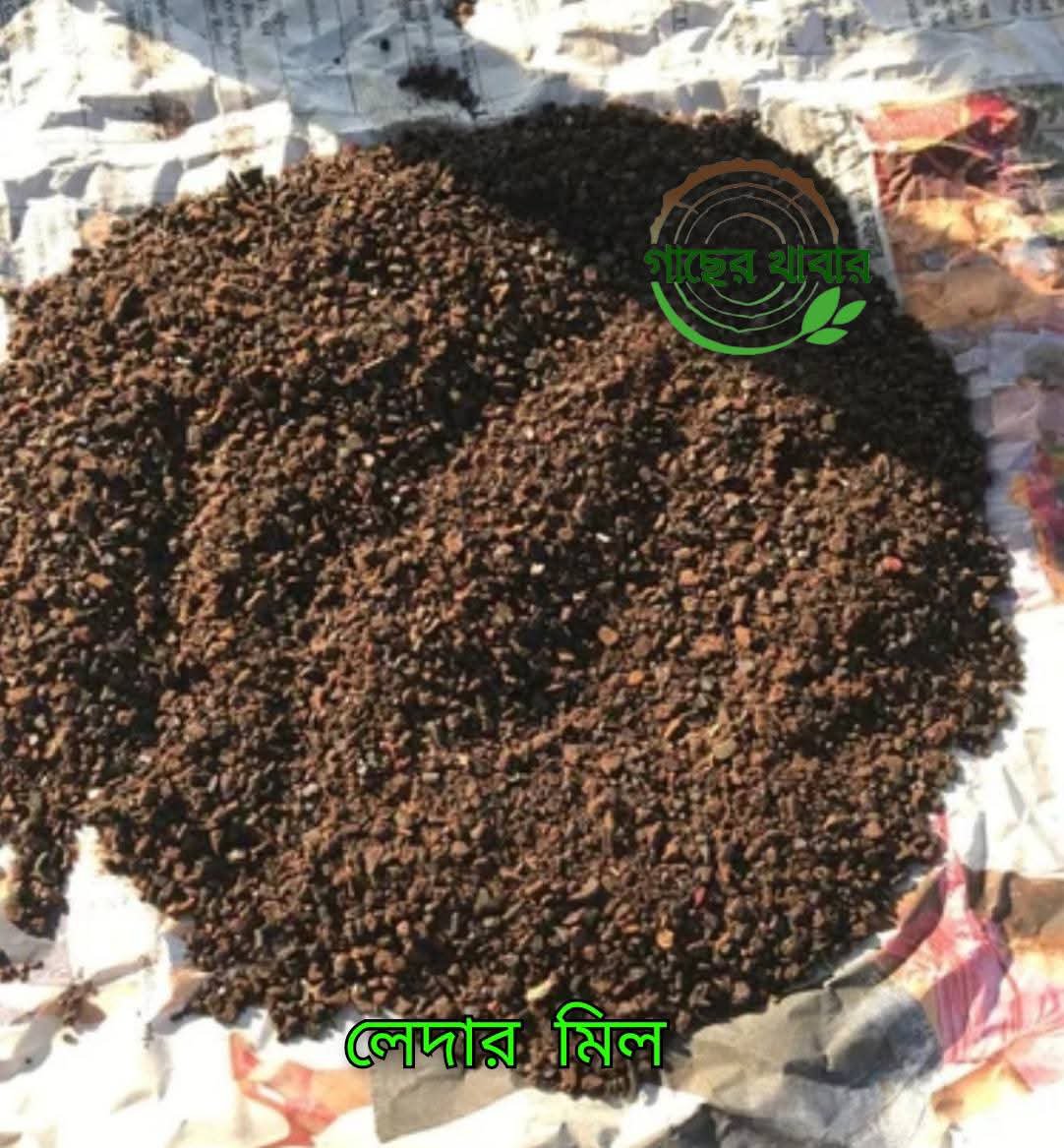 লেদার মিল ১ কেজি - Image 3