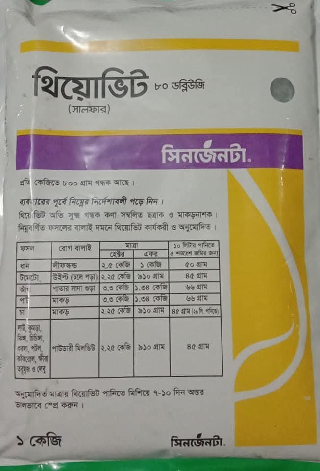 থিয়োভিট ১ কেজি