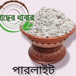 পারলাইট ৫০ গ্রাম