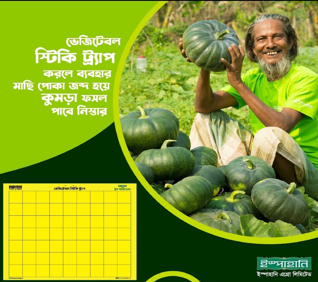 হলুদ ফাদ/কার্ড সকল প্রকার মাছি পোকা দমনে ১ পিছ - Image 9