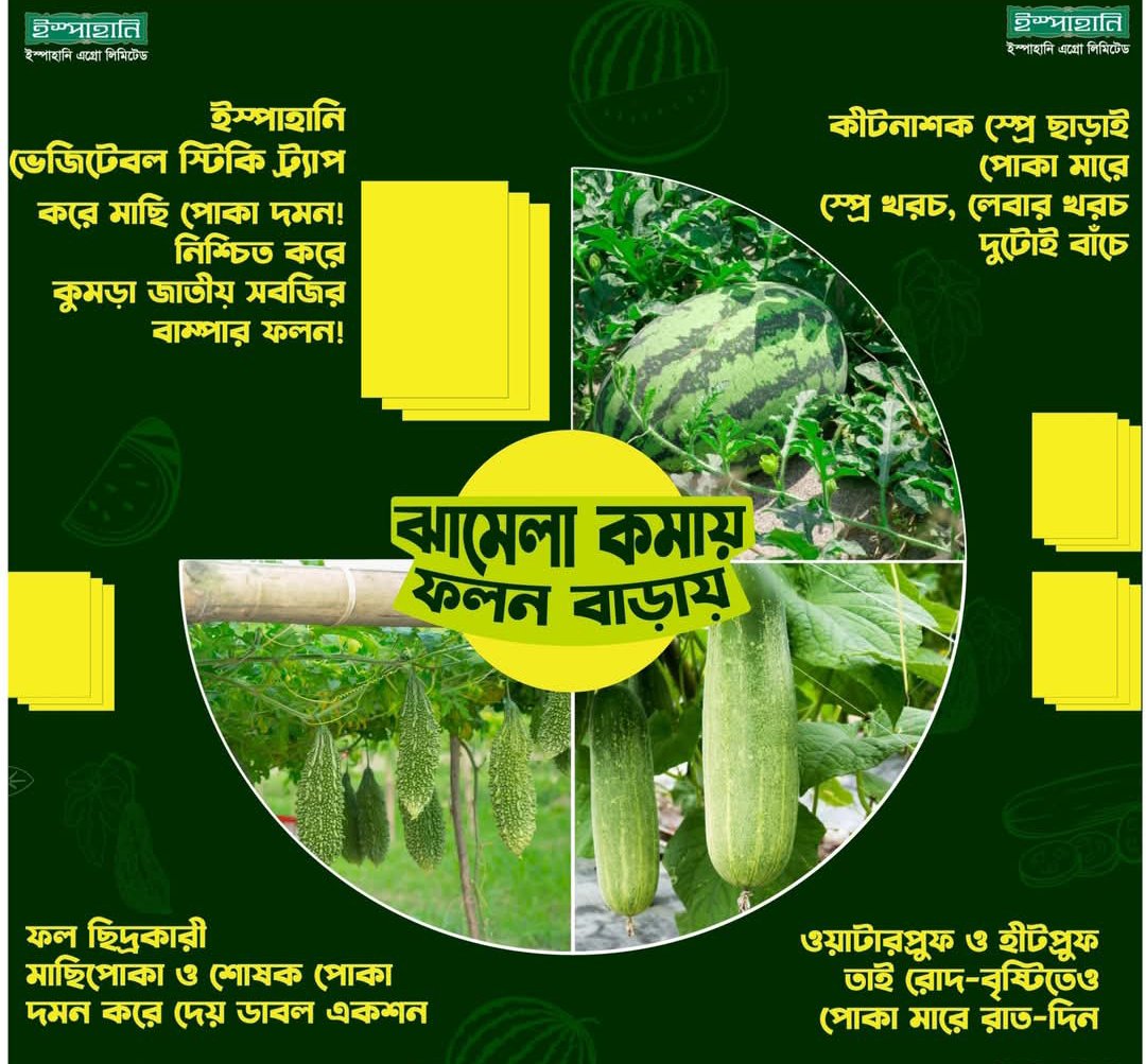 হলুদ ফাদ/কার্ড সকল প্রকার মাছি পোকা দমনে ১ পিছ - Image 5