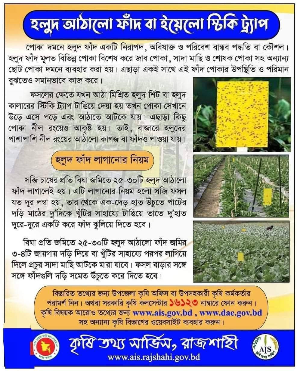 হলুদ ফাদ/কার্ড সকল প্রকার মাছি পোকা দমনে ১ পিছ - Image 4