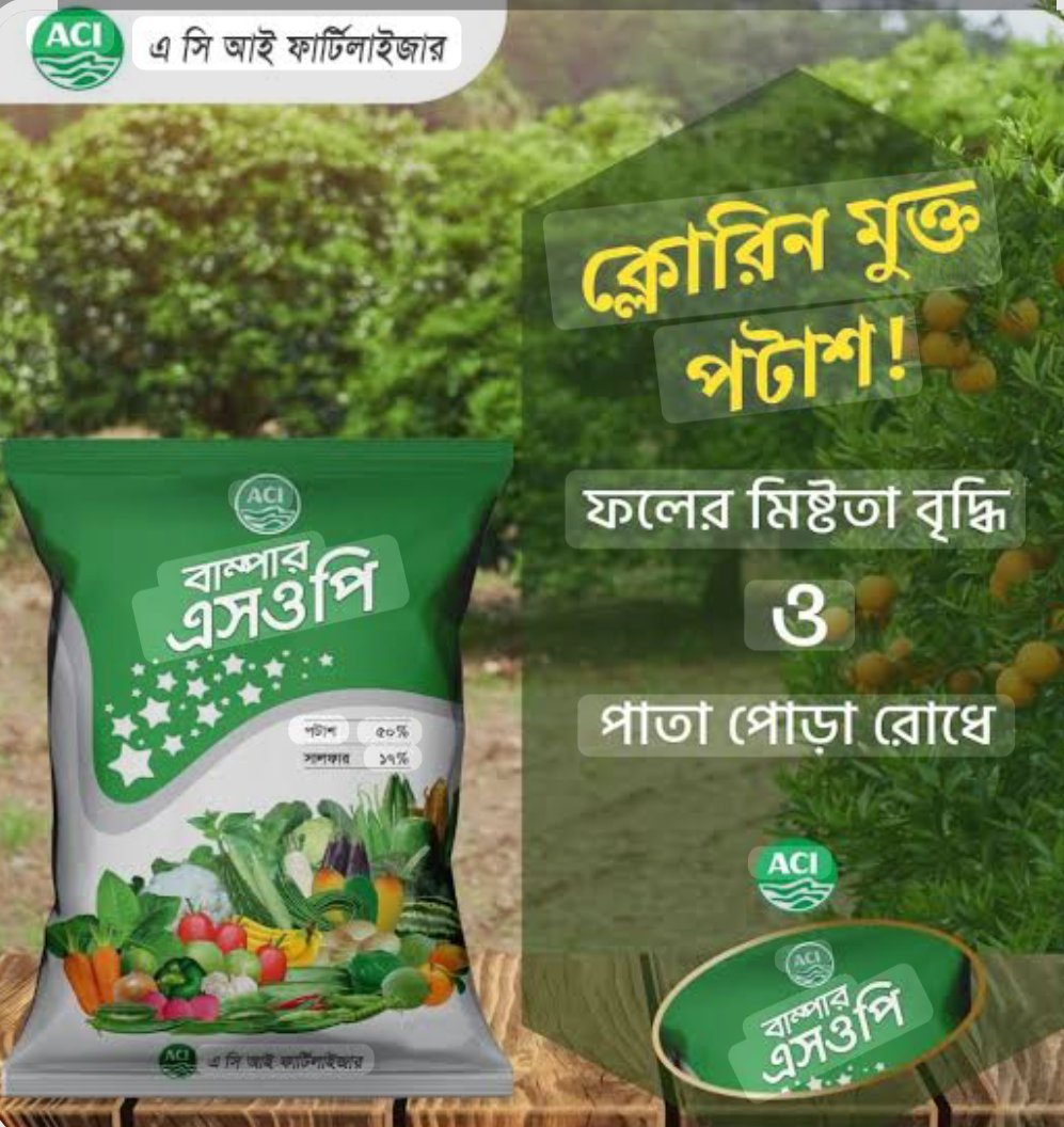 বাম্পার SOP ১ কেজি - Image 3