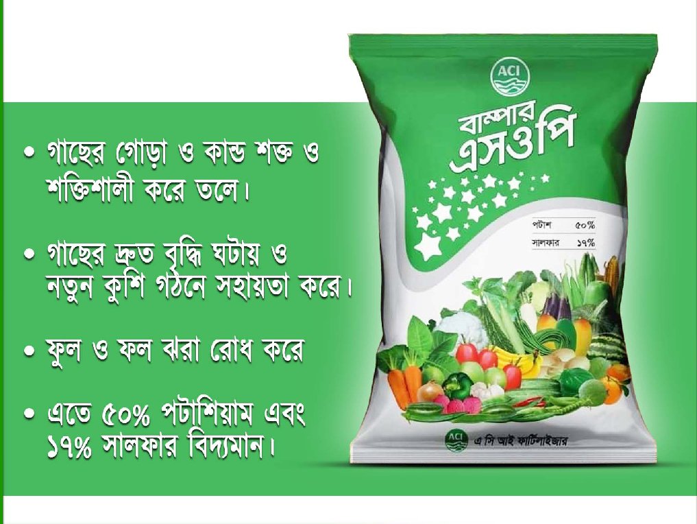 বাম্পার SOP ১ কেজি - Image 2