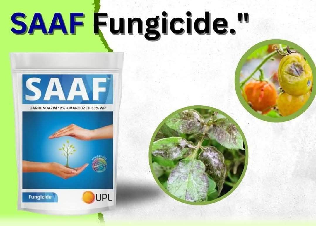 SAAF 20 gm fungicide - Image 2