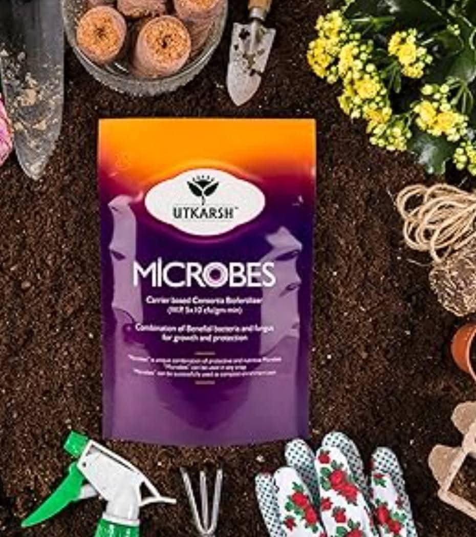 Microbes repack 100gm