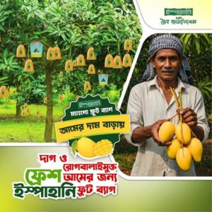 ফ্রুট ব্যাগ ৫০ পিছ