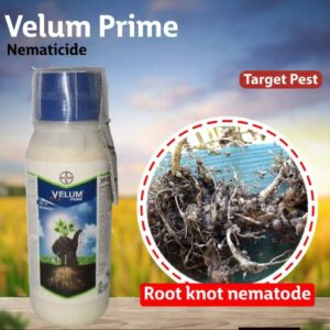 velum prime 100ml