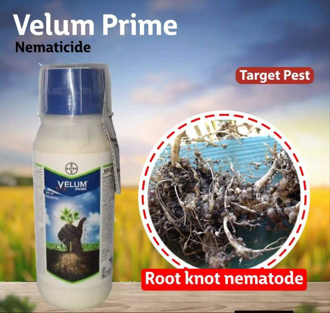 velum prime 100ml