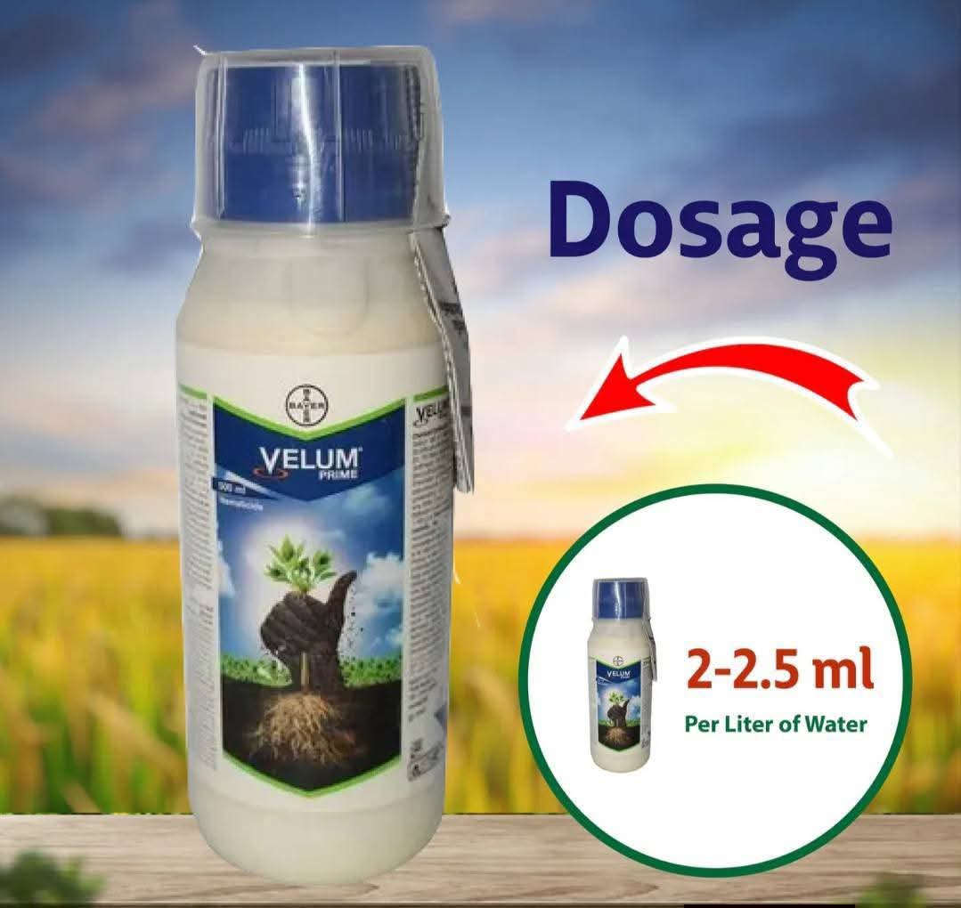 velum prime 100ml - Image 3
