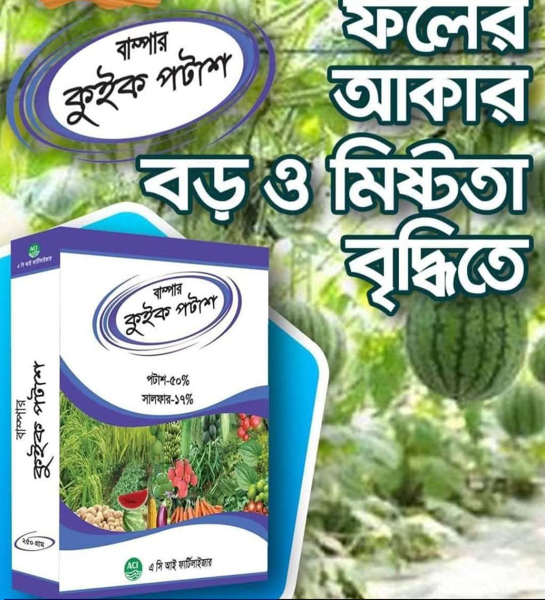 কুইক পটাশ / সাদা পটাশ ২৫০ গ্রাম - Image 2