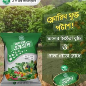 বাম্পার sop ১ কেজি