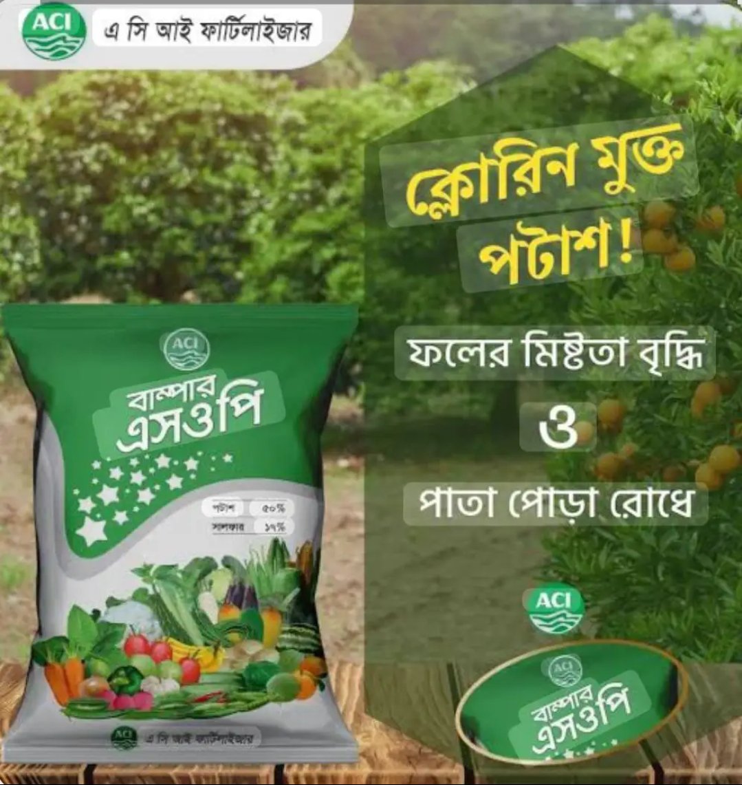 বাম্পার sop ১ কেজি