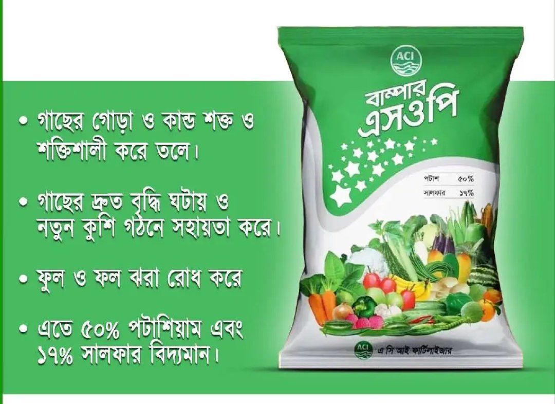 বাম্পার sop ১ কেজি - Image 3